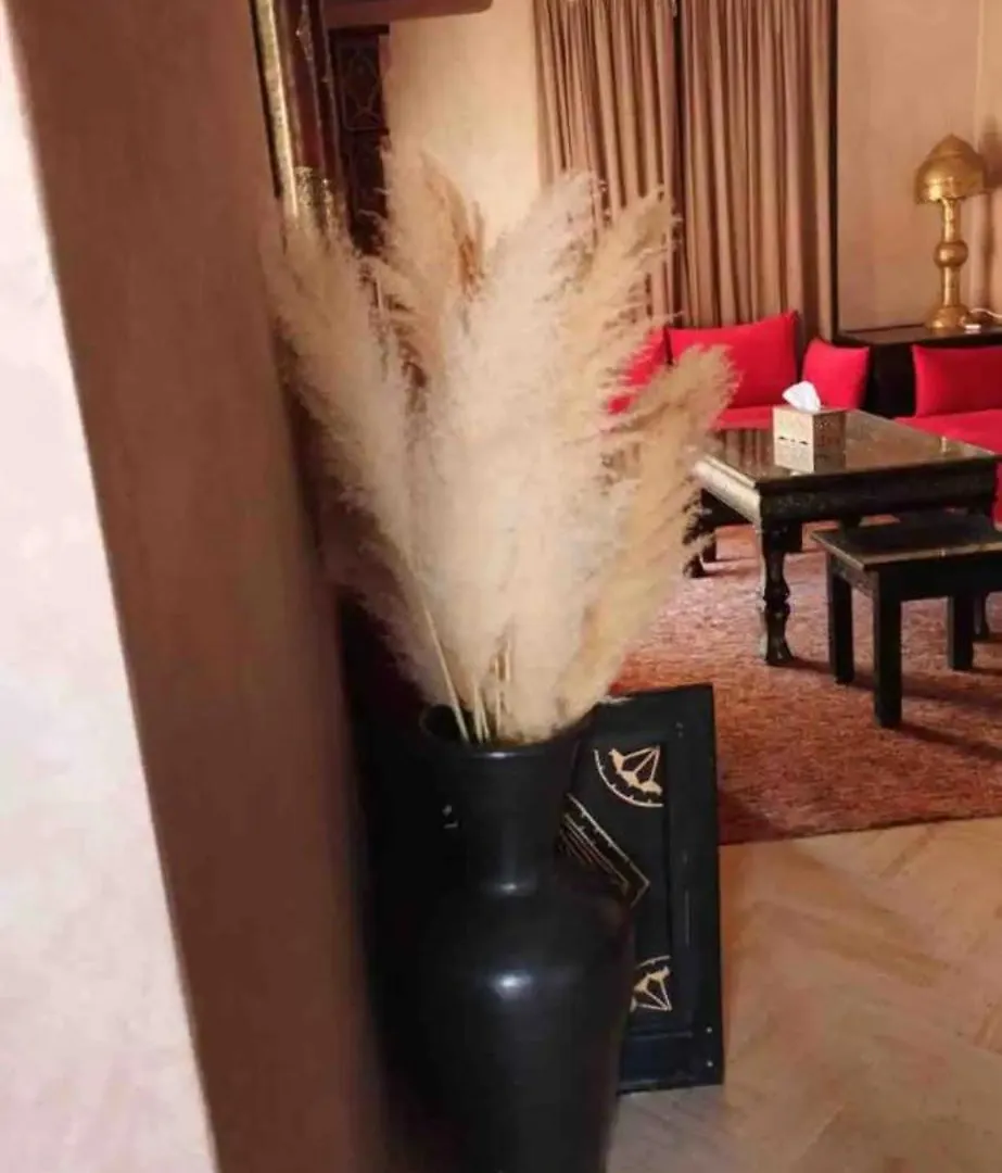Tres Joli Appartement A Atlas Golf Resort Marrakesh 0*,  Morocco
